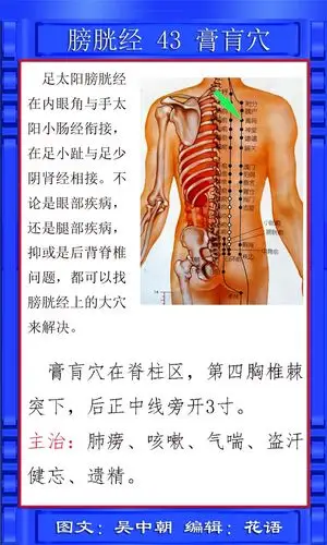 足太阳膀胱经41 --45
