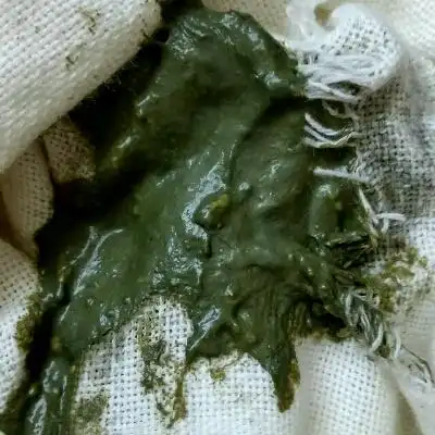 孕医通!宝宝腹泻大便绿色"满面春风"-第1张图片-金凯博客