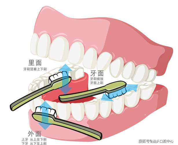 刷牙之前不建议将牙刷蘸湿?