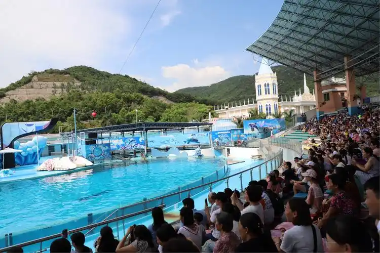 深圳小梅沙海洋世界水族馆,极地馆,白鲸和海洋等剧场节目表演 2018.8.