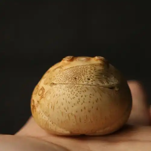 一物一拍东阳名家陈航君本工精工雕刻满钉老竹根竹编