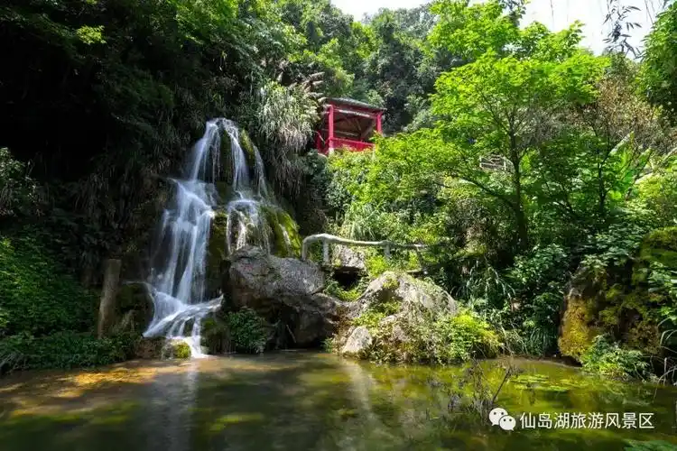 观音洞 - 阳新仙岛湖景秀旅游发展有限公司