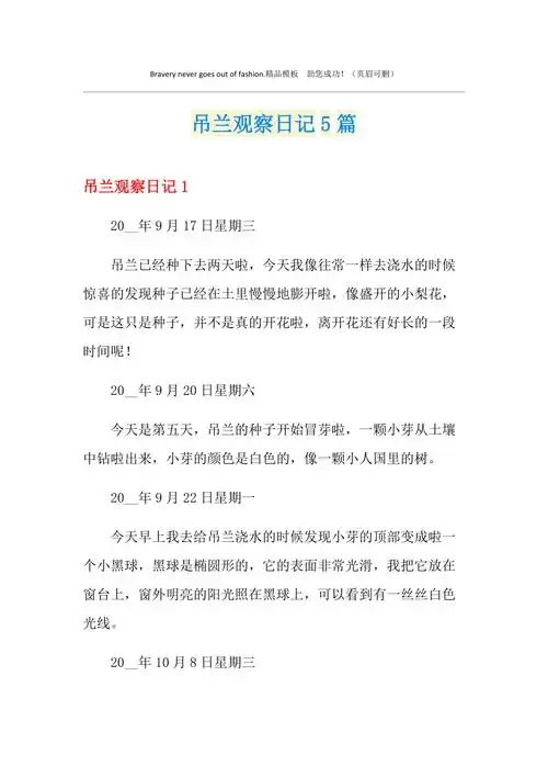 吊兰观察日记5篇