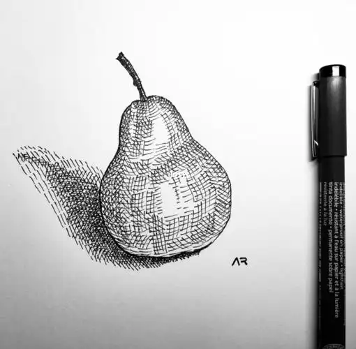 一个梨钢笔画静物画线描画交叉排线练习