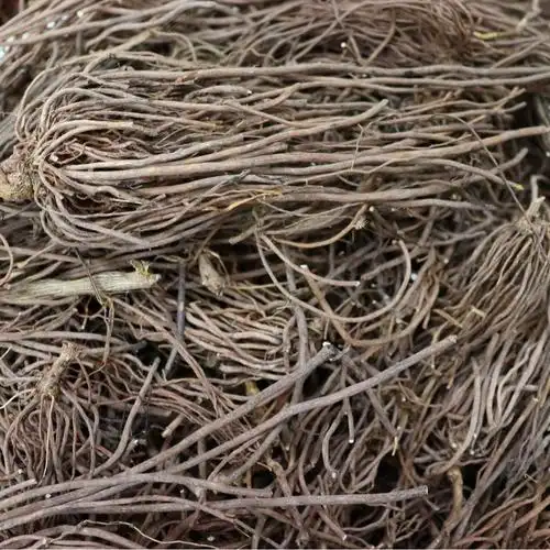 威灵仙500克中药材正品野生灵仙根铁扫除 青龙须 老虎须包邮-阿里巴巴