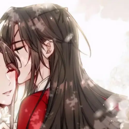 私藏的天官赐福头像花城谢怜太美了