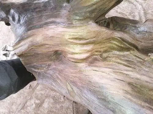 我有一个乌木金丝楠的树根,造型奇特,大约再在300公斤左右,表面自己