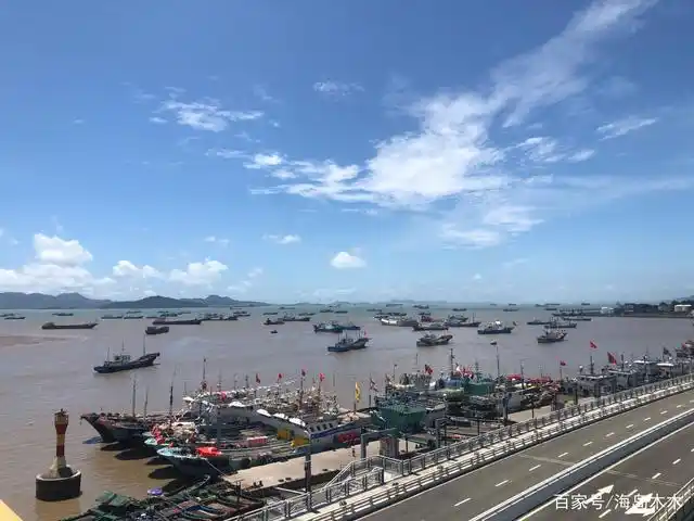 禁渔期结束,舟山沈家门渔港渔船纷纷出海,网络主播们也来蹭流量