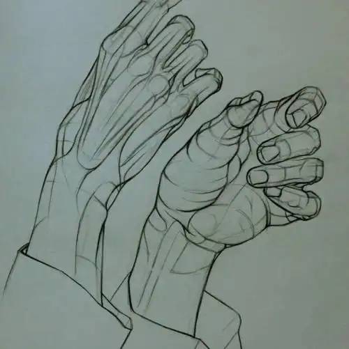 速写手部结构形态学习素材分享