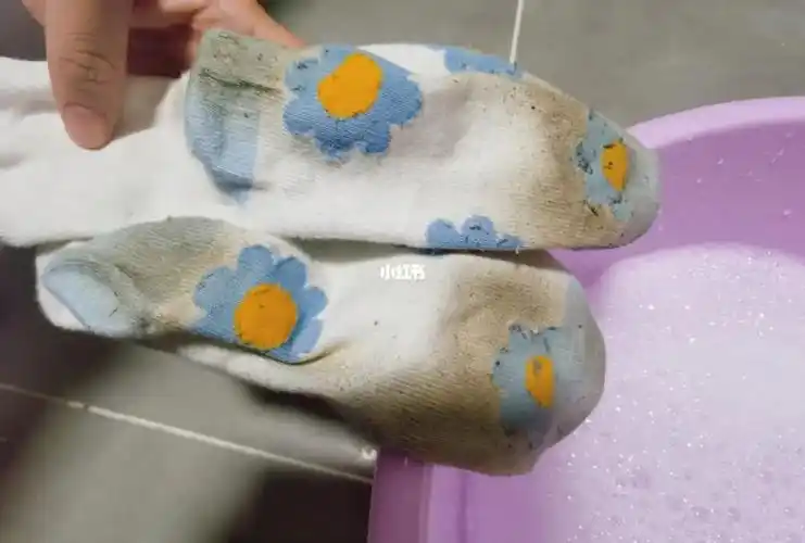 我又来洗袜子了