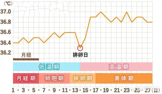 朱元璋嫔妃众多为何没落下"荒淫"的骂名?