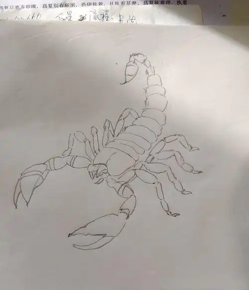 素描画蝎子技巧