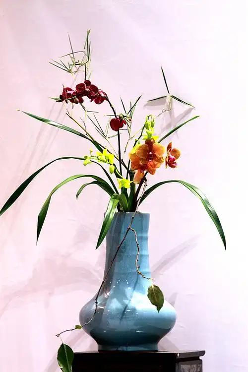 兰花作业 二 (插花)