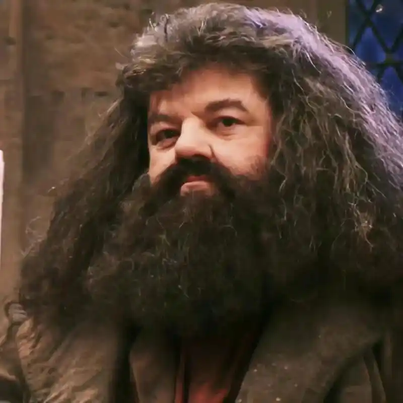 海格你会在学校等我们的对吧? #哈利波特 #哈迷聚众地 #h - 抖音