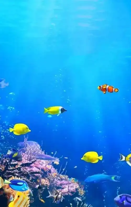 高清壁纸奇妙的海底世界