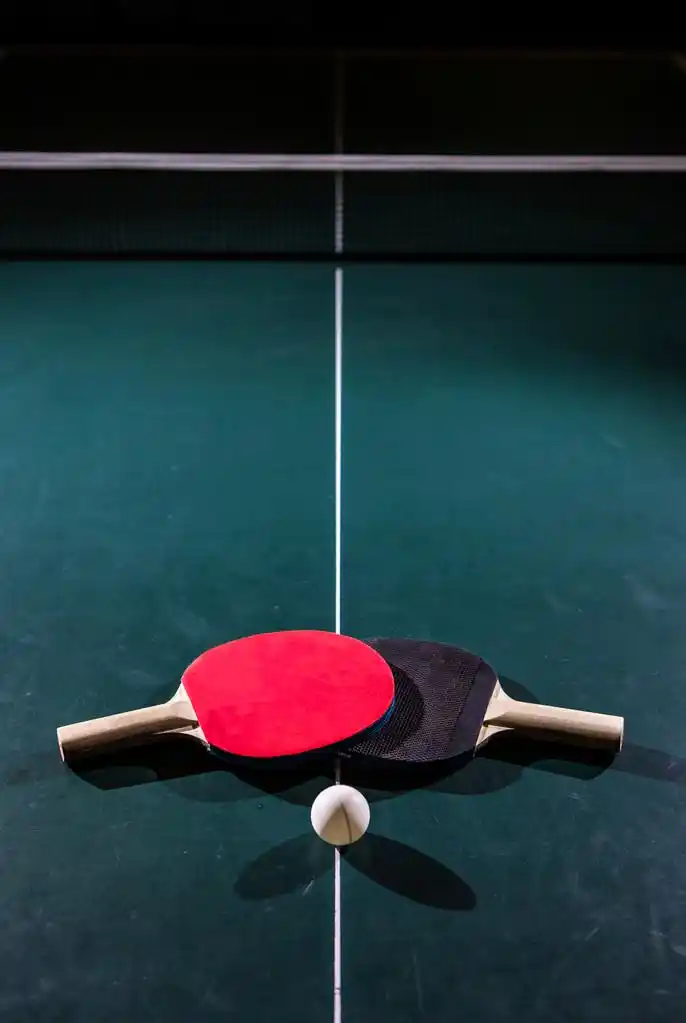 乒乓球运动,乒乓球, 乒乓球