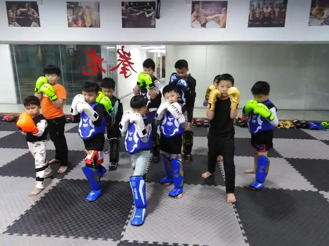 东莞mma综合格斗培训学费_少儿综合格斗培训价格_东莞拳龙搏击培训