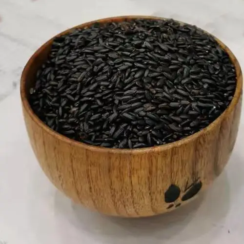 产地货源无染色黑米黑香米黑糙米真空装杂粮oem贴牌加工 厂家批发