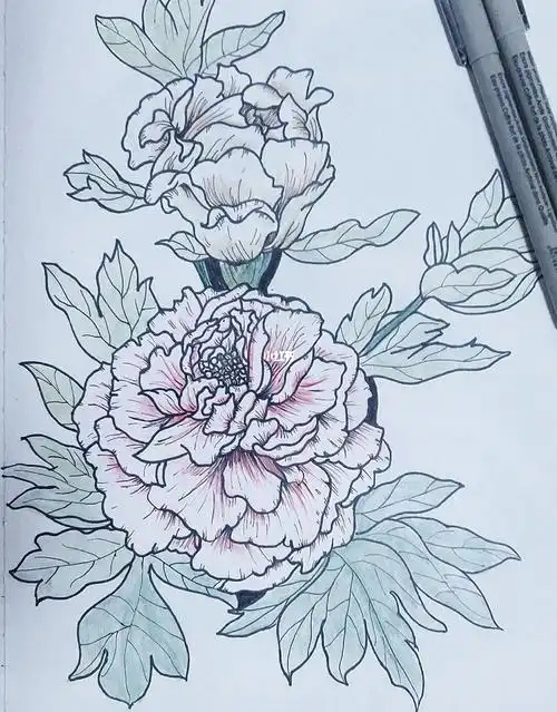 线描花卉