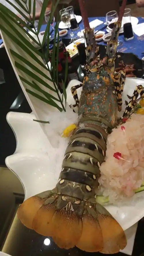 野生中华锦绣龙虾