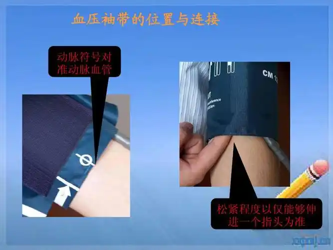 血压袖带的位臵与连接 动脉符号对 准动脉血管 松紧程度以仅能够伸 进