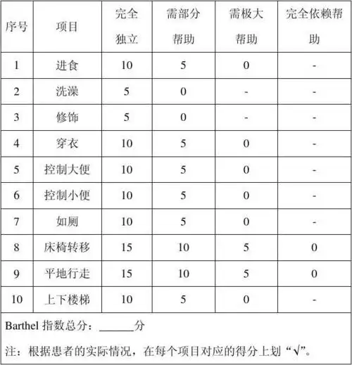 所有分类 表格/模板 表格类模板 barthel指数评定量表 自理能力评分表