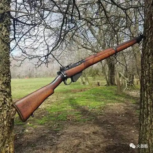 【二战武器精选】不知道为什么二战步枪我还是喜欢那只老李