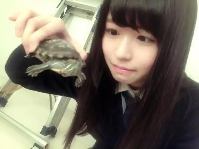 过路客的相册-长滨睡