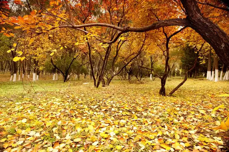 9月不可错过的这15处初秋美景领略中国最美的秋色美得不像话