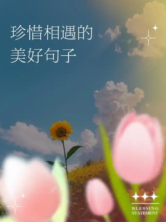 珍惜相遇的美好句子