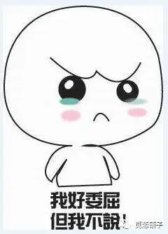 你所得到的似乎都是你的委屈所换来的. 懂事的人,总是习惯"伪装"!