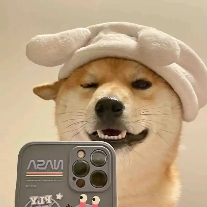 沙雕可爱狗狗自拍头像