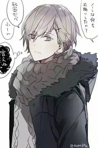 动漫aph黑塔利亚 挪威