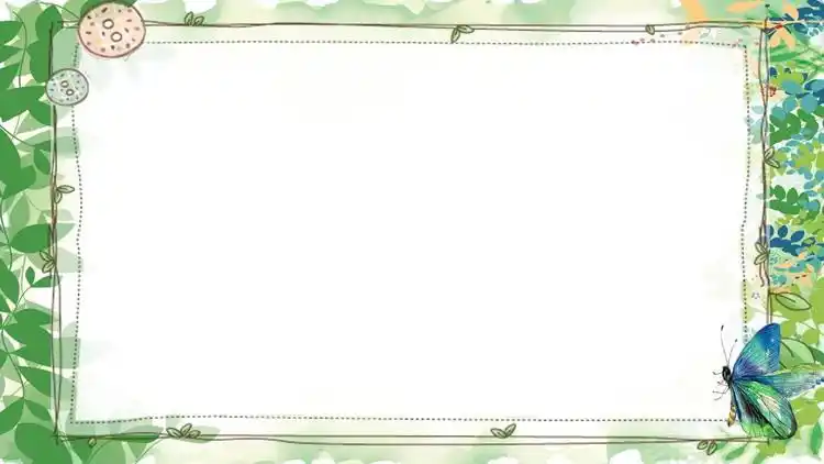 四张清新绿色植物叶子ppt背景图片