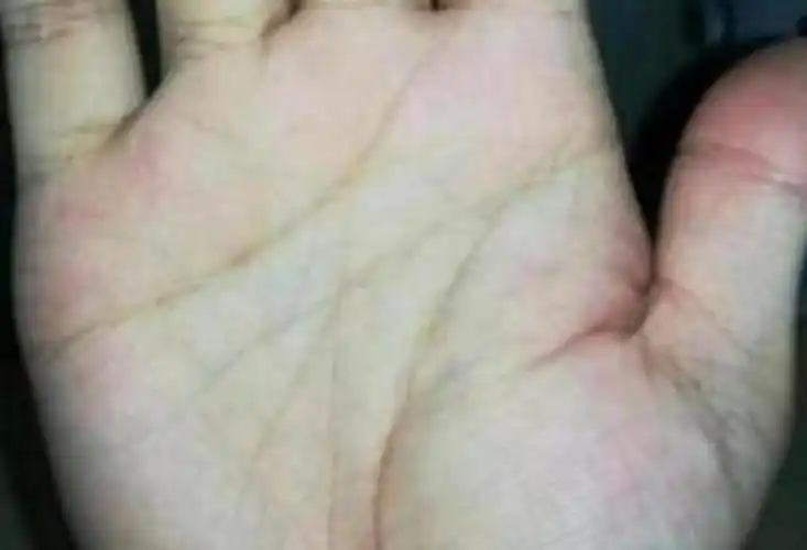 男人可以事业有成,女人能够夫贵妻荣以上就是从手相元宝纹怎么看财运