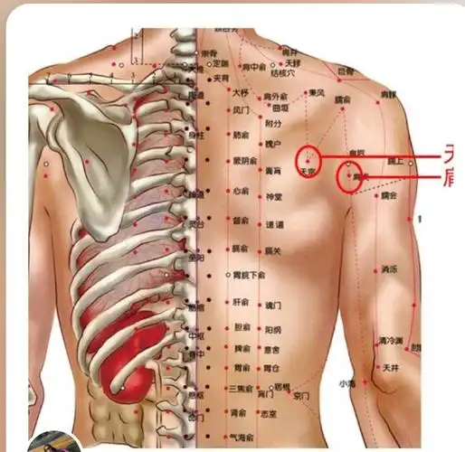 肩周炎艾灸疗法