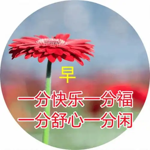 美好暖心的早安正能量问候句子,最美冬季问候早上好的图片带字 - 知乎