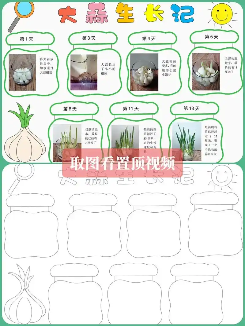植物生长日记手抄报95.#手抄报模板 #小学生手抄报模板 # - 抖音