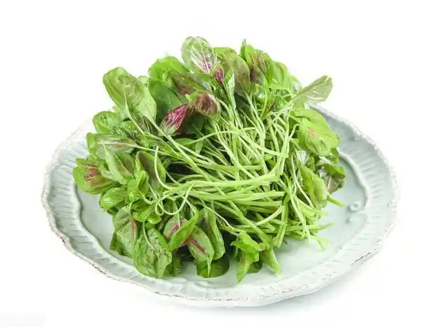 青绿苋菜187毫克/100克,紫红苋菜17