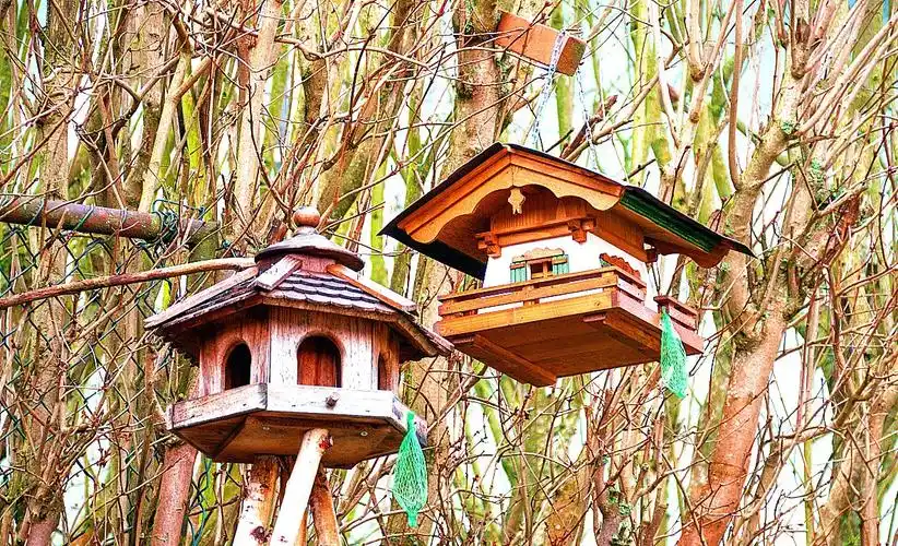 给小鸟安个家 --家庭主题亲子活动