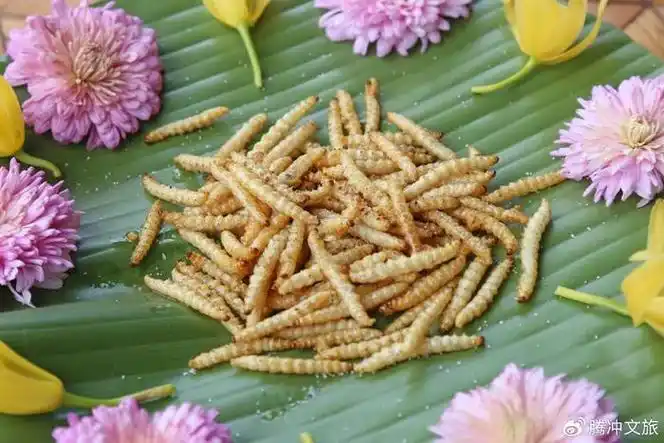 竹虫,来自腾冲竹林深处的诱惑|云南|竹虫|嫩竹_新浪新闻