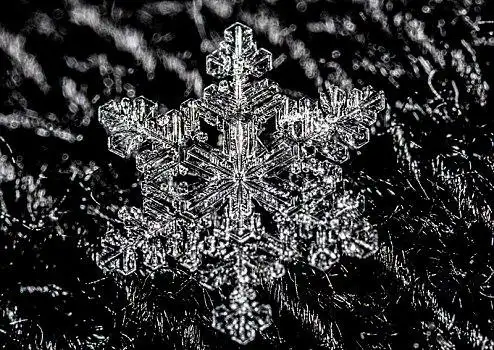 雪花图片_雪花图片大全_雪花图片素材