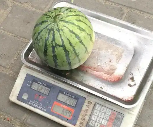 1000克等于多少斤(电子秤1000克是多少斤)