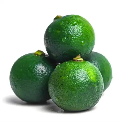 小青海南金桔新鲜3斤一级好果现摘现发橘子桔子