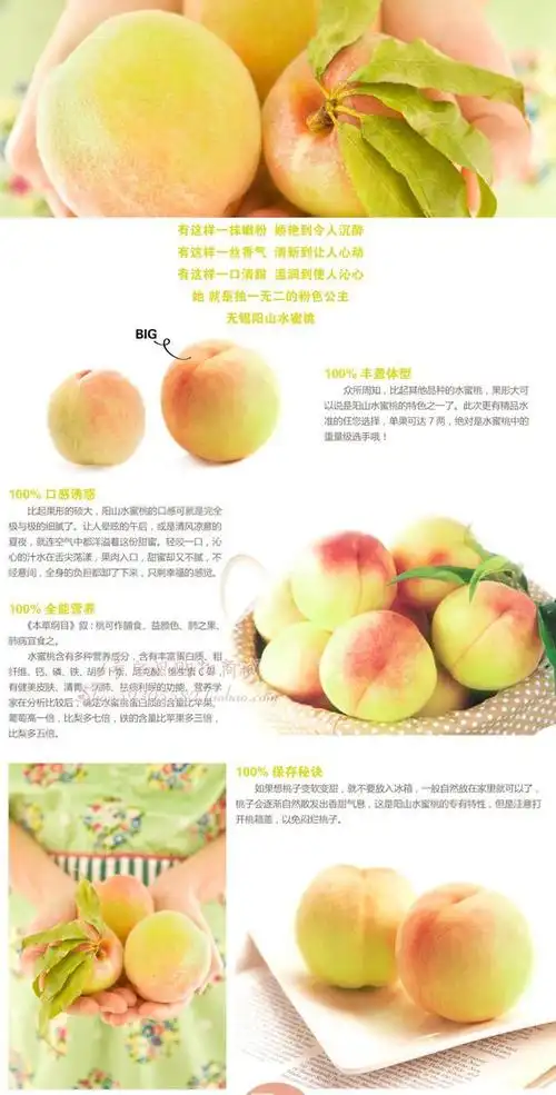 预定正宗无锡阳山水蜜桃 12只4两左右桃子 团购另议