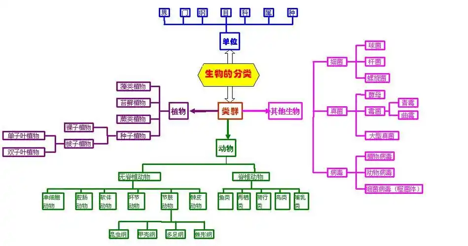求生物 分类结构图