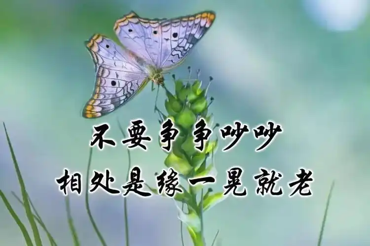 写美篇 世界那么大, 送上珍惜缘分的相册图片