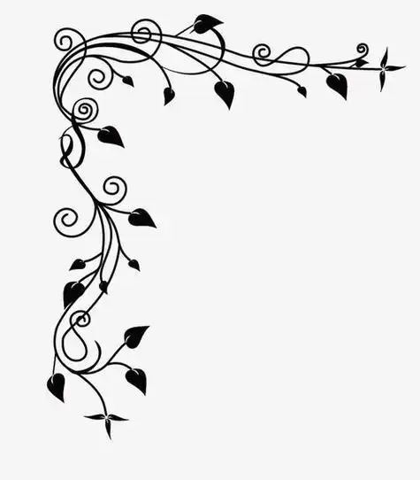 藤蔓植物简笔画