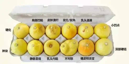 乳头白点