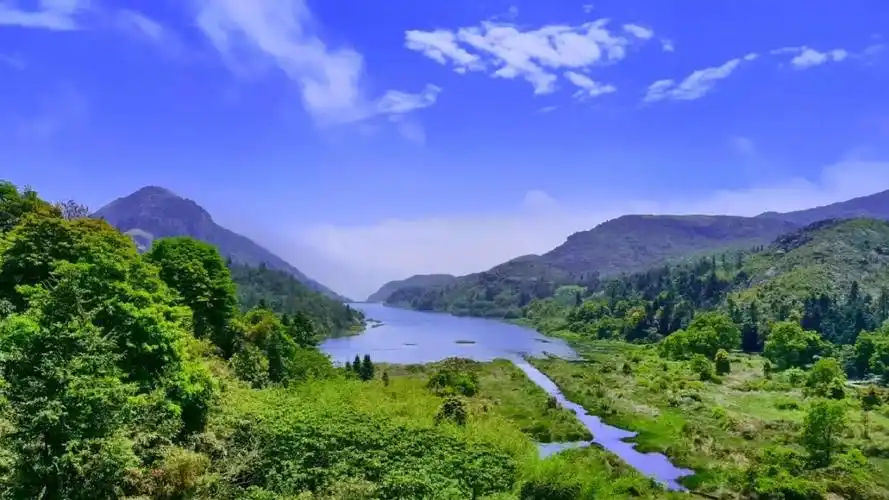 小舟从此逝,江河寄余生